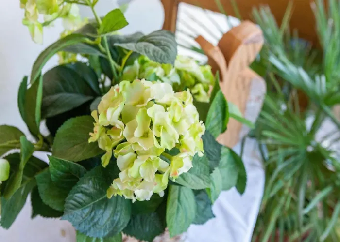 Hotel Living-apart Anita Oetz